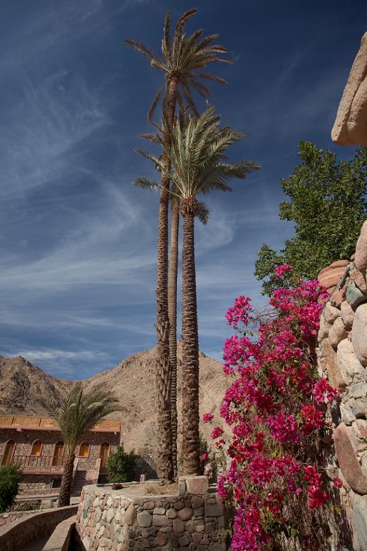 Dahab selectie 2010_01_16 13h34m.jpg - Seven Nuns Monastery at Wadi Feiran